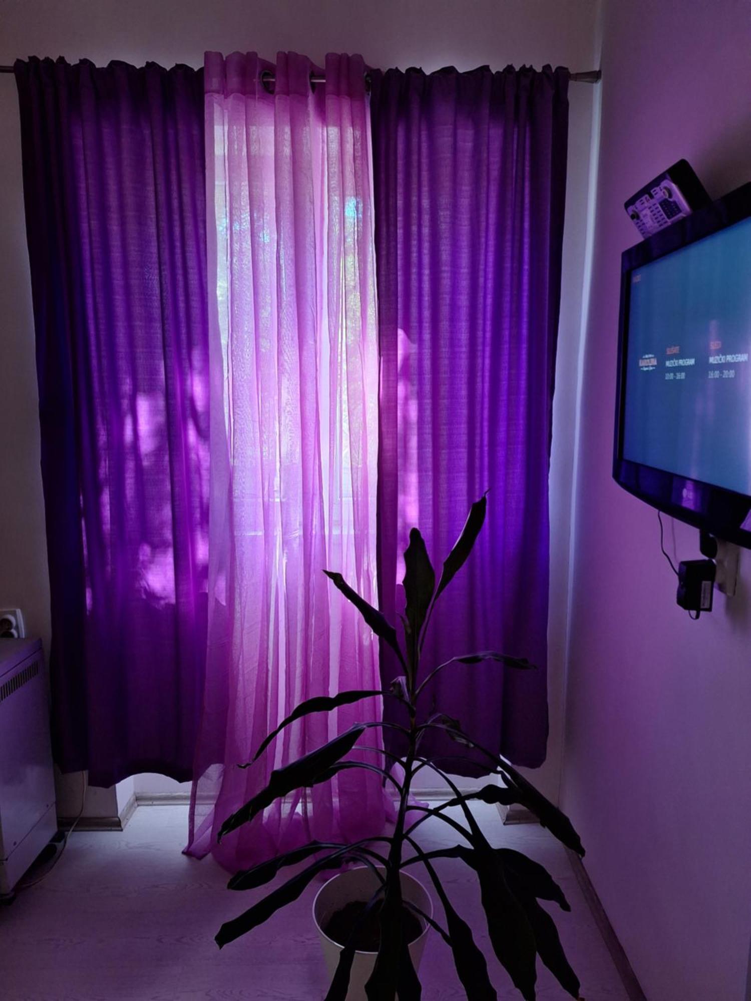 Apartman Maja Appartement Belgrado Buitenkant foto